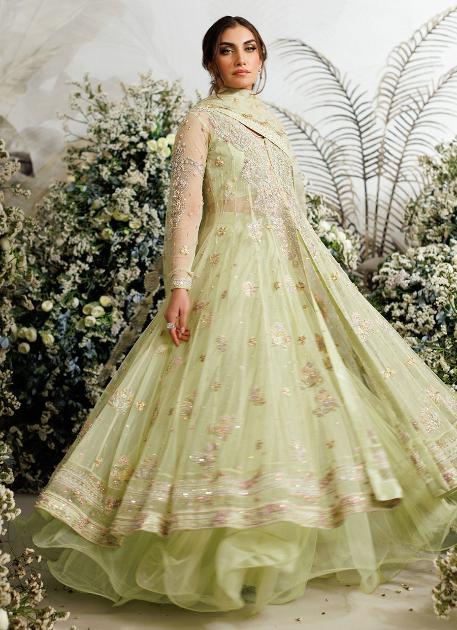 Farah Talib Aziz - Eliza kiwi tulle kalidaar My Store