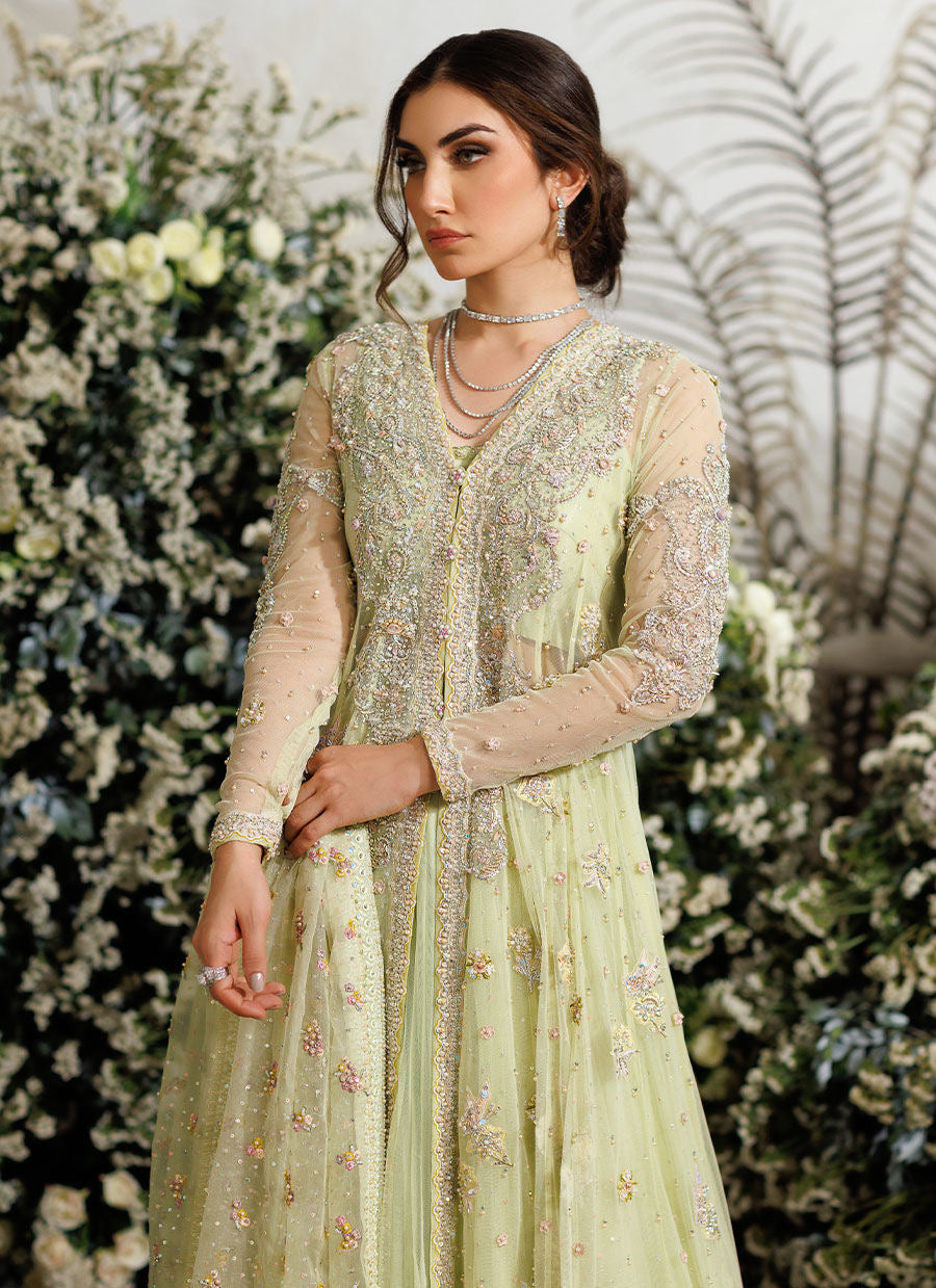 Farah Talib Aziz - Eliza kiwi tulle kalidaar My Store