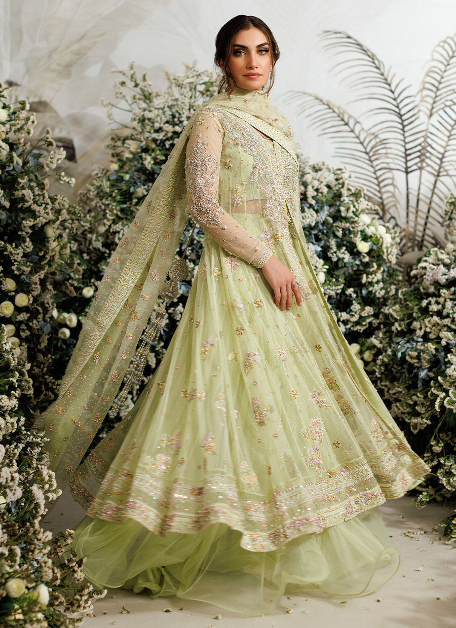Farah Talib Aziz - Eliza kiwi tulle kalidaar My Store