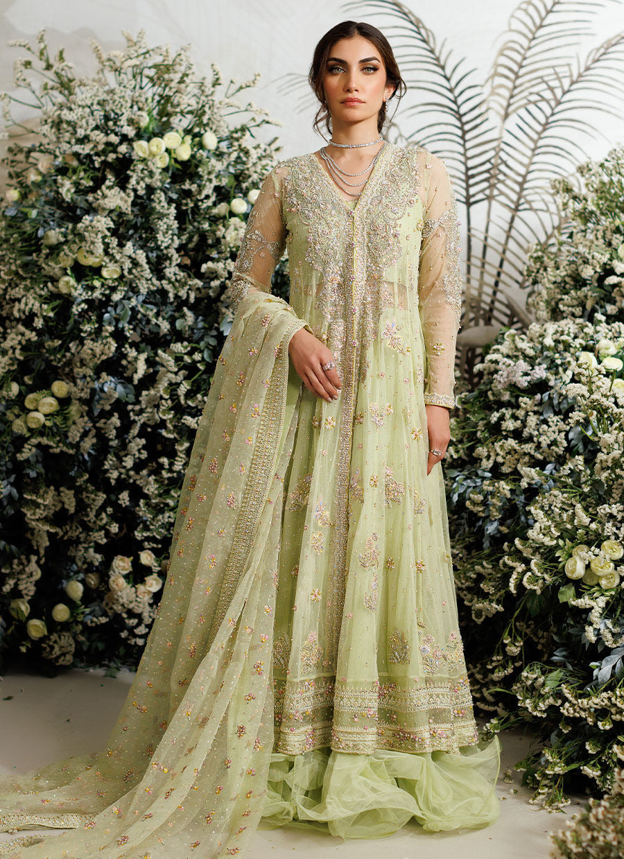 Farah Talib Aziz - Eliza kiwi tulle kalidaar My Store